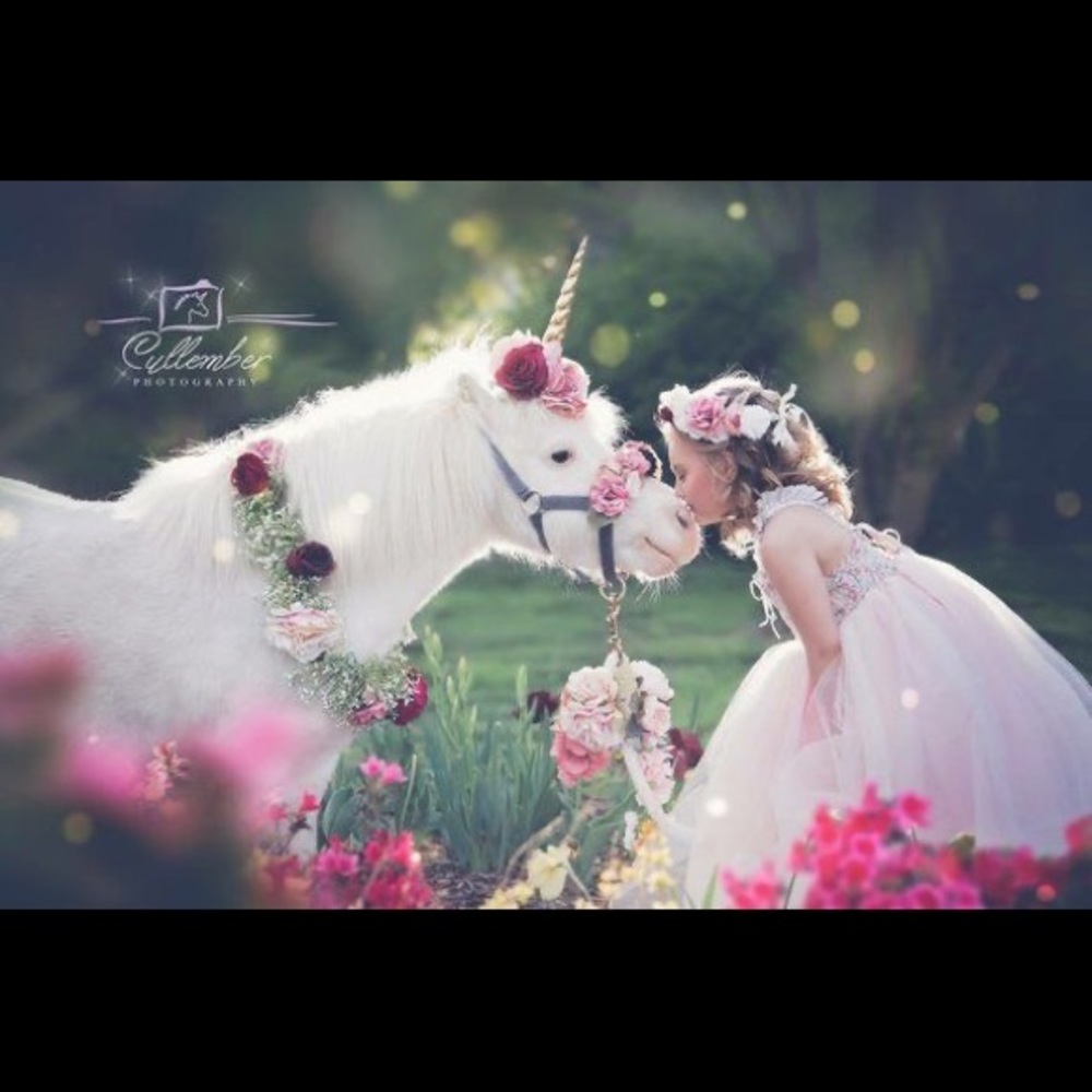 Meet your Posher, Moxie